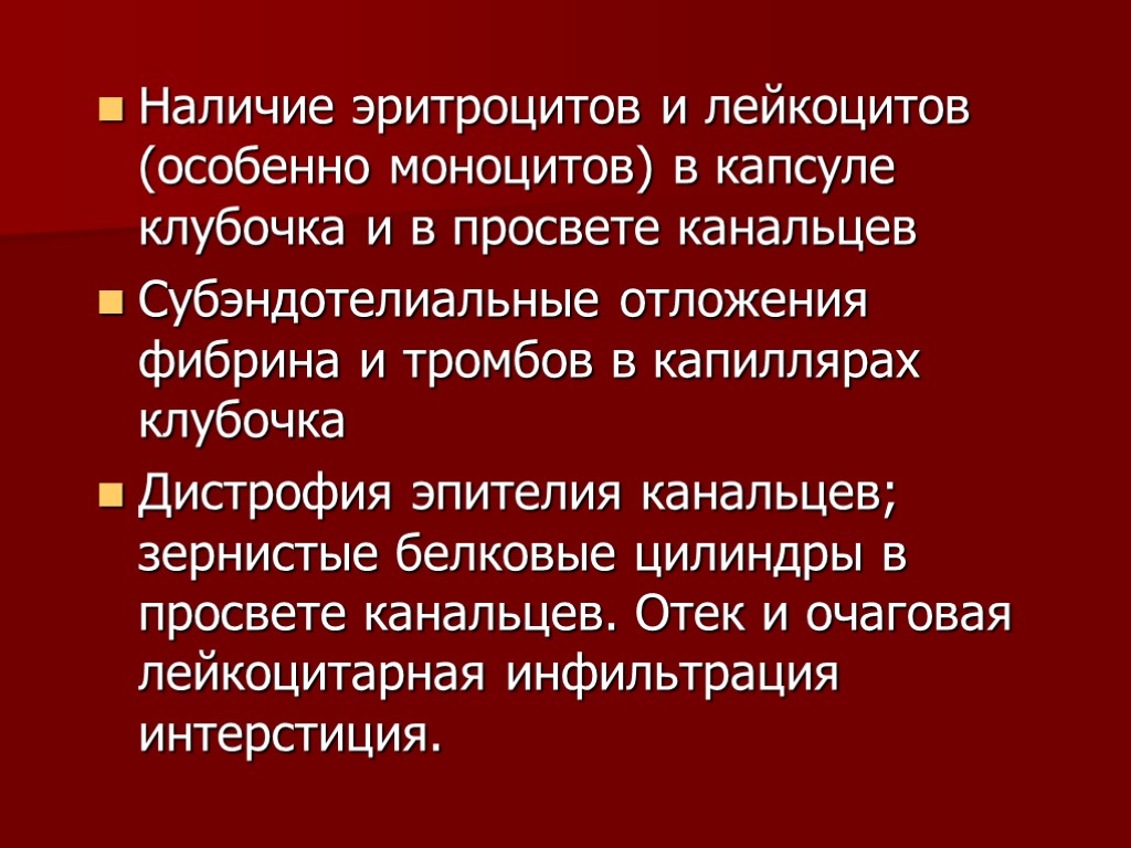 Наличие эритроцитов и лейкоцитов (особенно моноцитов) в капсуле клубочка и в просвете канальцев Субэндотелиальные